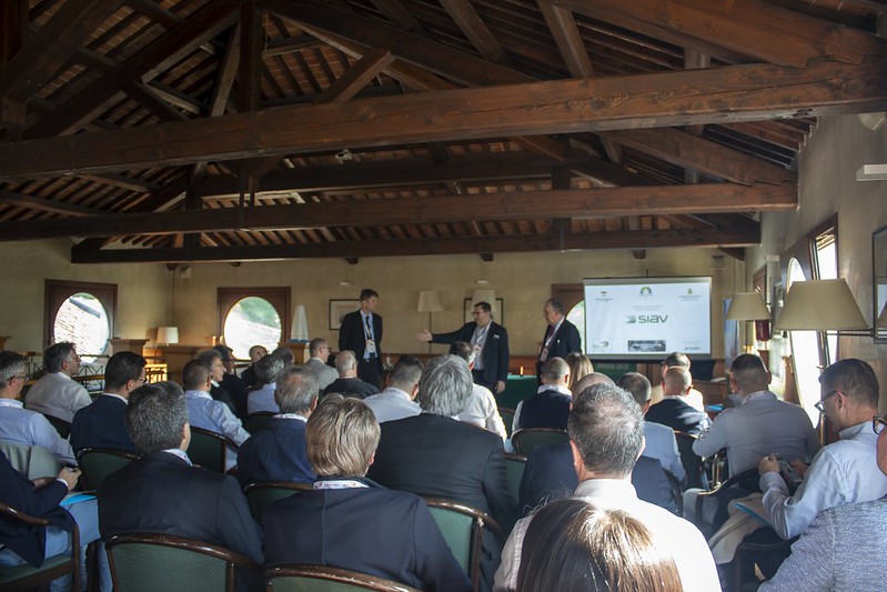 53727456090_ac97b4435f_c